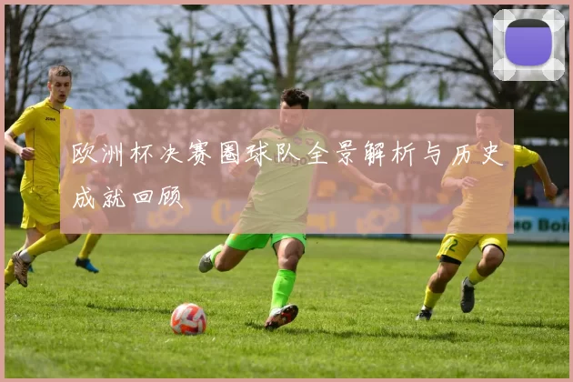 欧洲杯决赛圈球队全景解析与历史成就回顾