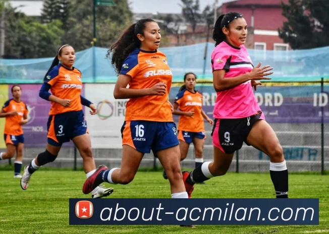 多媒体互动体验